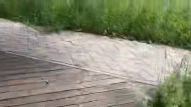 Городской Экспресс: От А до Б за 60 сек.