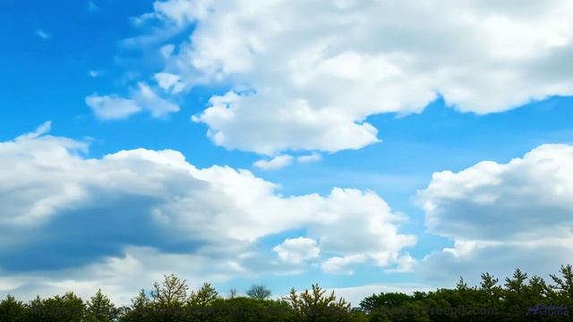 Видео, созданное тёмной материей - технологии за гранью понимания! - House on a Tree -- Crowander --