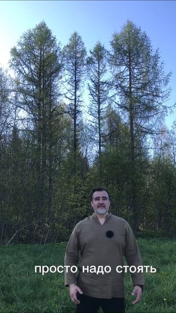 Своё место СИЛЫ