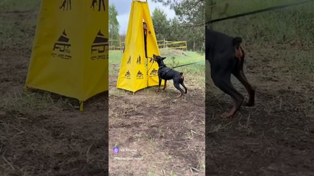 Защита