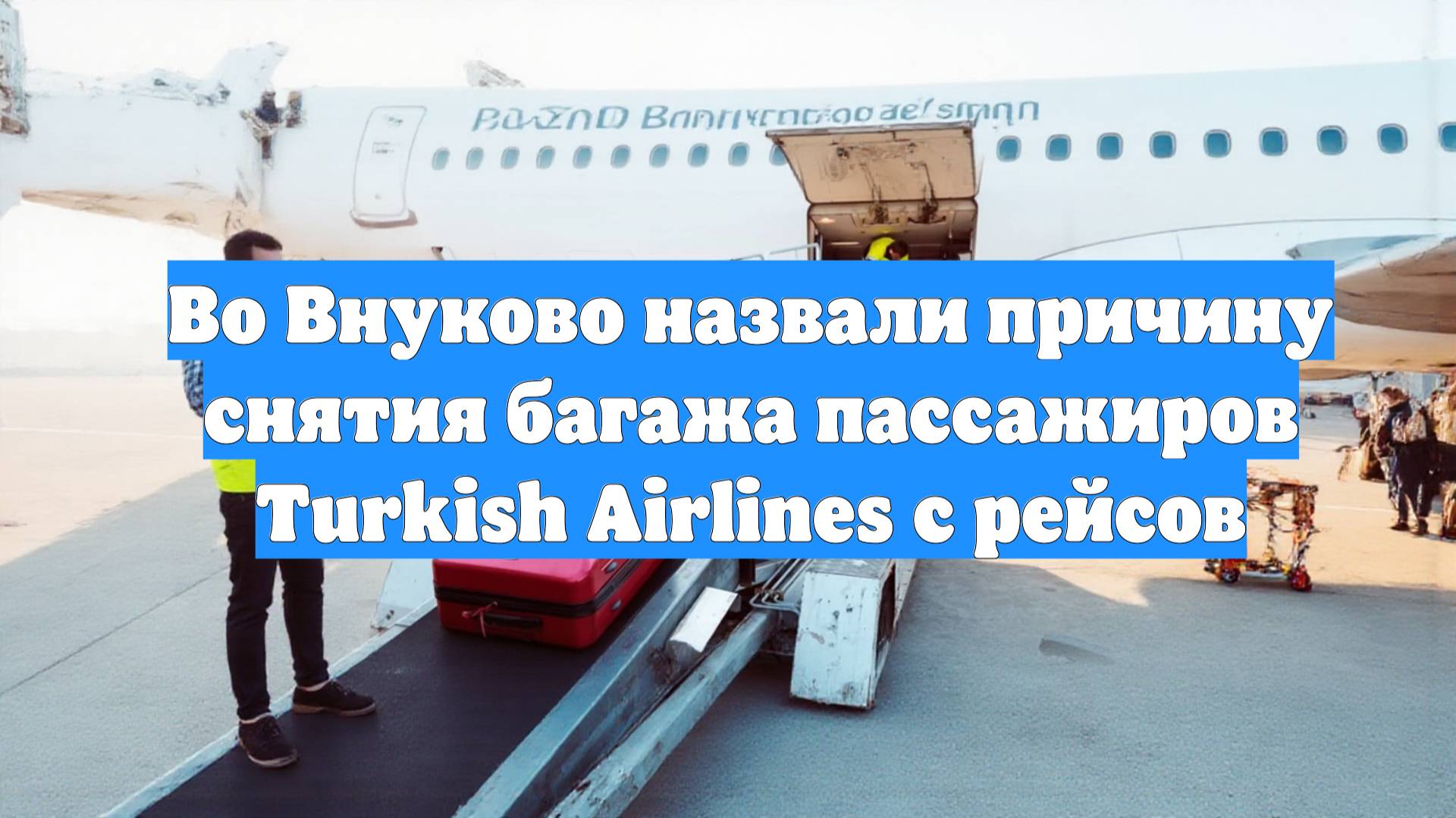 Во Внуково назвали причину снятия багажа пассажиров Turkish Airlines с рейсов