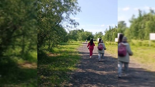 Путешествие на Кегостров, Архангельская область(14.06.2025г.)