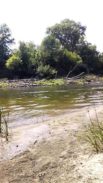 VID_2025-06-08-13-42-28-357