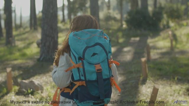 Пыль, ветер в лицо и звук, который заводит как двигатель! - Lily Allen -- Podington Bear -- Homage F