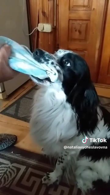 Ни за что не отдам...)))