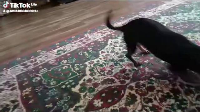 1000063250.mp4