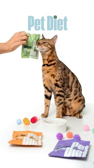 Pet Diet - натуральный корм для кошек