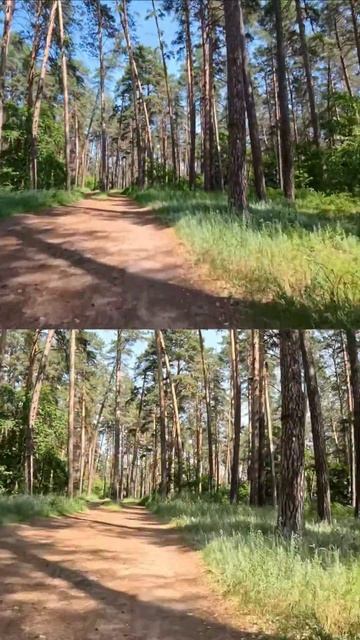 Сравним Insta360 Ace Pro 2 и GoPro HERO 11