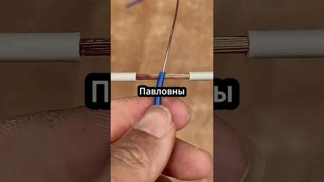 история свекровь и невестка