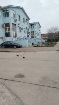 Доброе утро #доброеутро