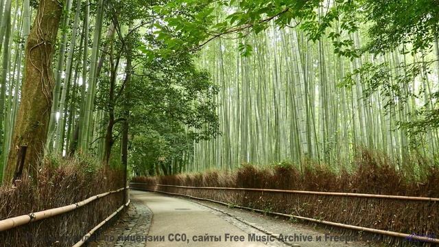 Леса звучат громче любого хора вместе с этим саундом - Languag Gap -- New Millennium String Ensemble