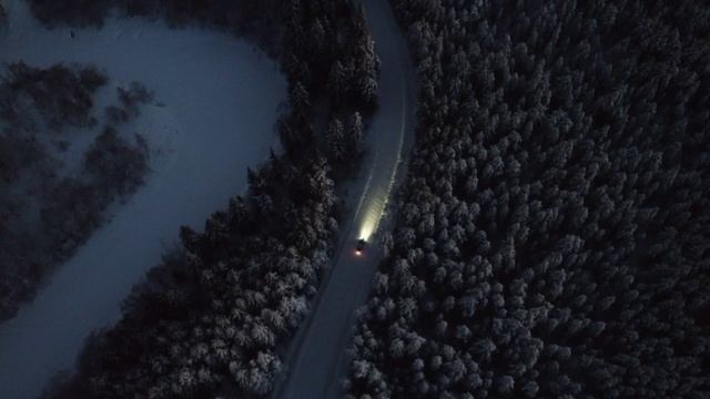 Зимний лес. Карелия.