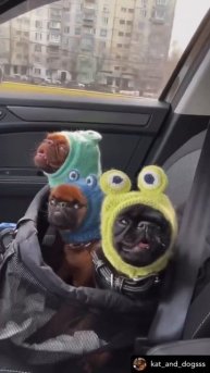 едем в соседнее село на дискотеку