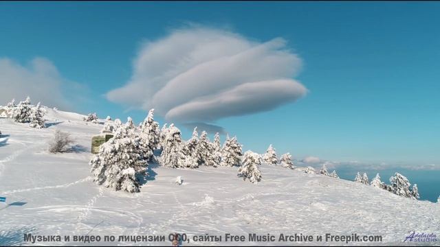 Голова кружится от сочетания звука и полей - The Demise of All the Worlds Estate Agents All At Once