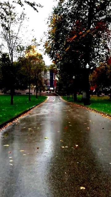 Камера сняла нечто особенное