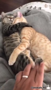 Подпишись 👉 https://vk.com/ykrasheniy_iz_kamny