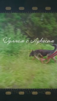 "Песнь трав и Лукаса" ❥ Приют в Малинках