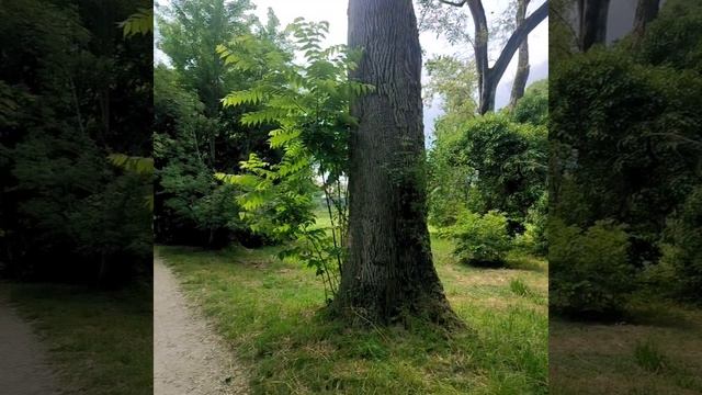 1000075375.mp4