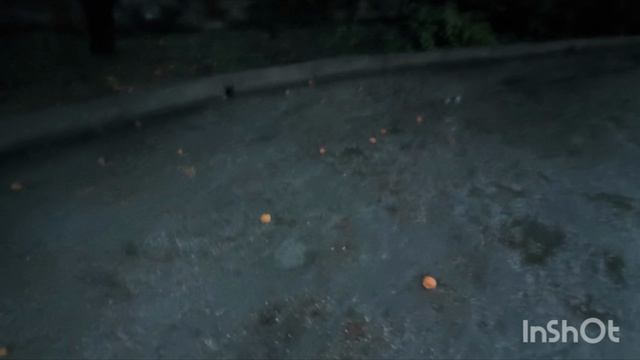 А у нас сегодня дождь ☔ Купила на работе чизкейк 🍰.15.06.25