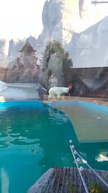 VID_20240913_123813.mp4