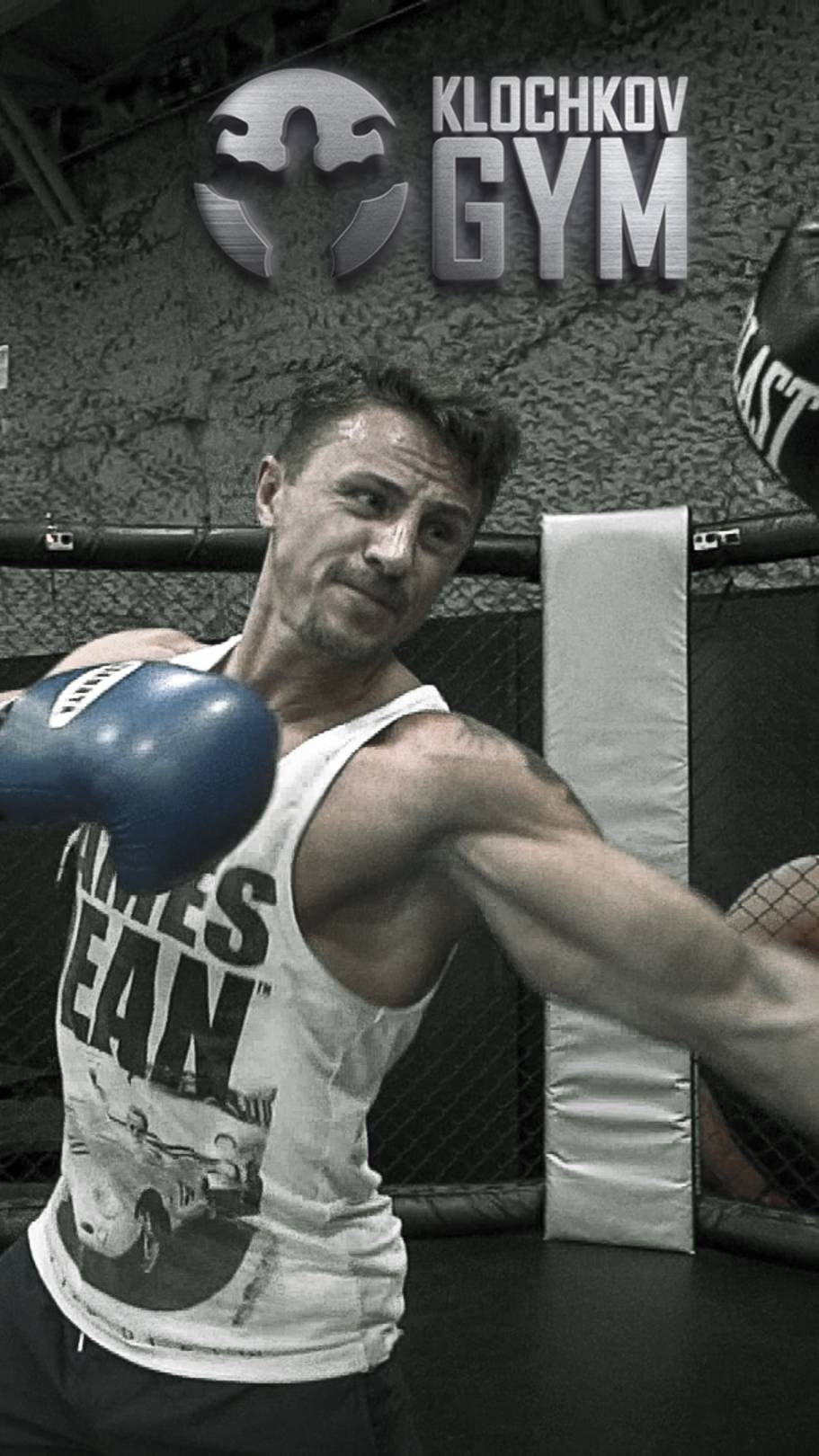 Мотивация тренировка на лапах и груше в шестиугольнике