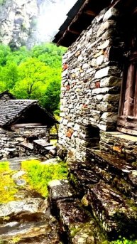 Камера случайно зафиксировала чудо