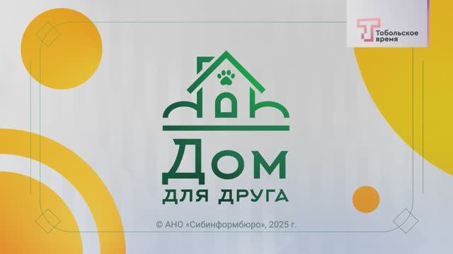 ДОМ ДЛЯ ДРУГА (ВЫПУСК 65)