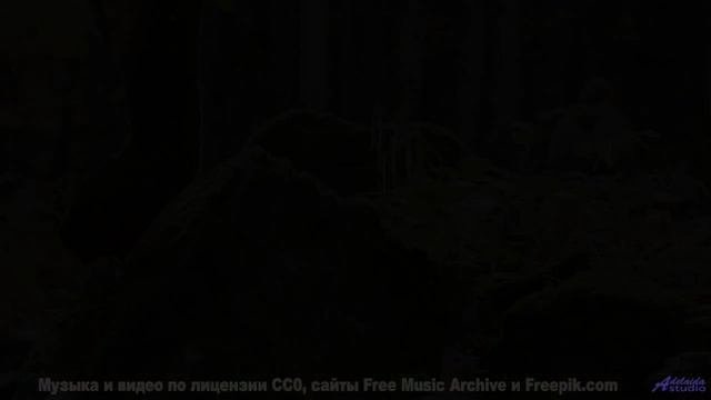 Ты слышишь Это НЕ человеческий звук. - The Call -- Podington Bear -- The Hump (Box Set Disc 6)