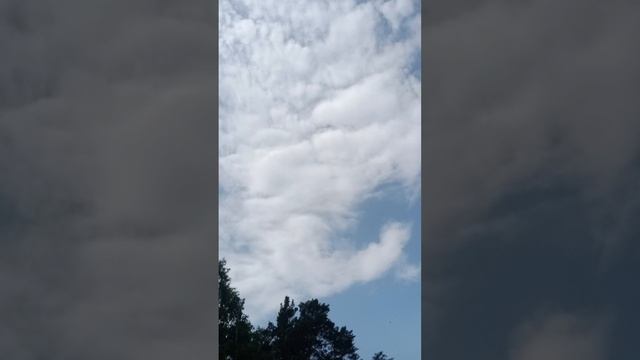 едем в новое место на квадроцикле