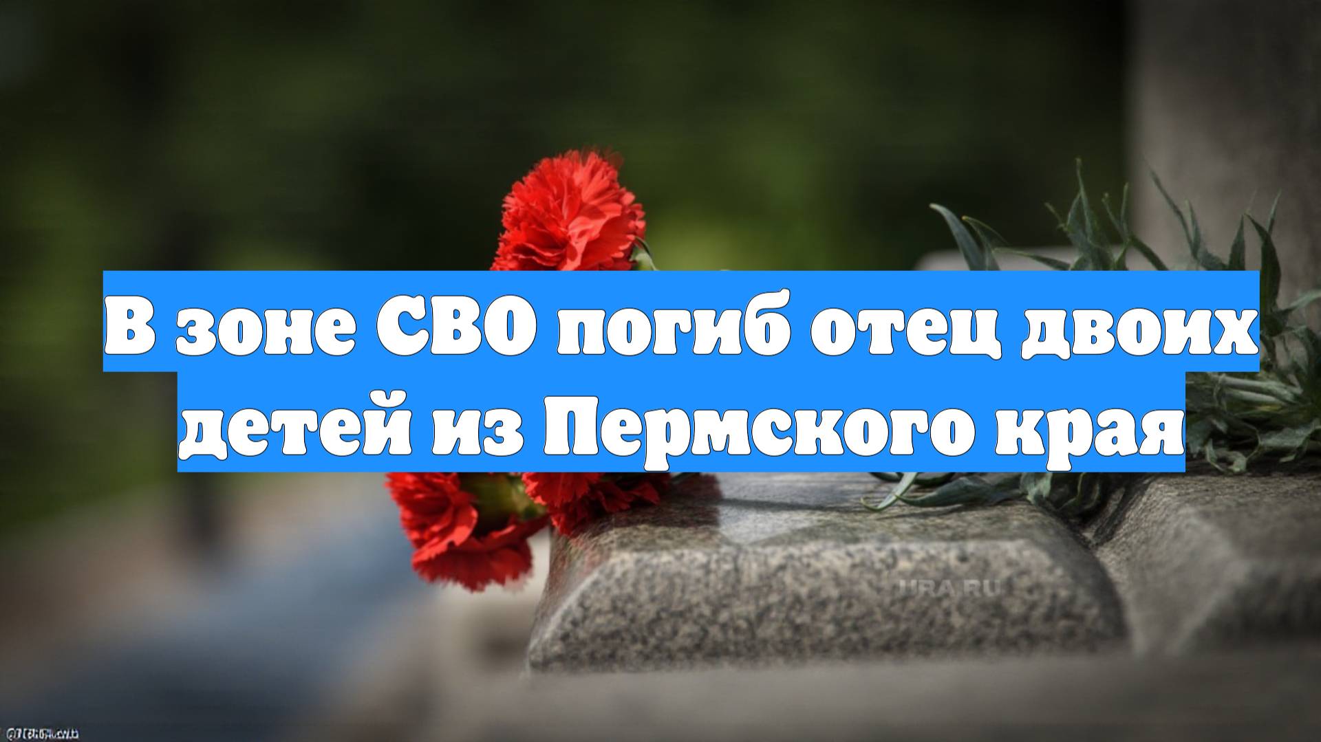 В зоне СВО погиб отец двоих детей из Пермского края