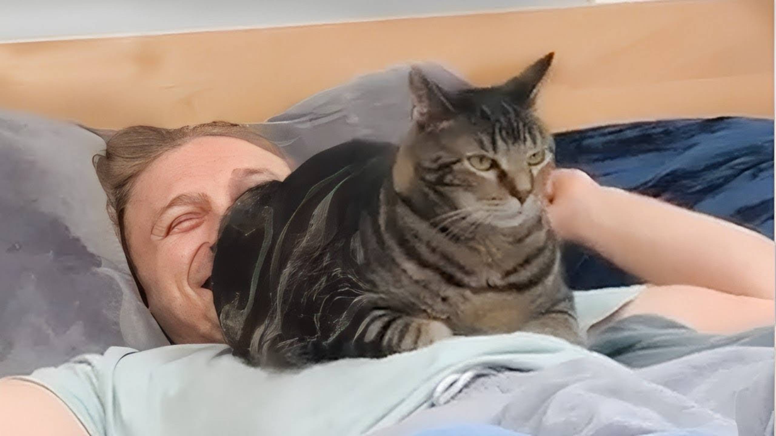 СМЕШНЫЕ КОТЫ 2025 ЛУЧШИЕ ПРИКОЛЫ С КОТАМИ, КОШКИ, КОТИКИ, СОБАЧКИ, СМЕШНОЕ ВИДЕО