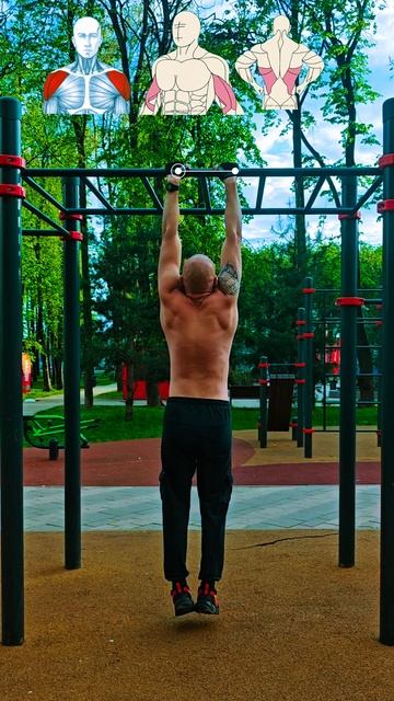 Ширина хвата в подтягиваниях #nogymworkout #спорт #shorts #calisthenics