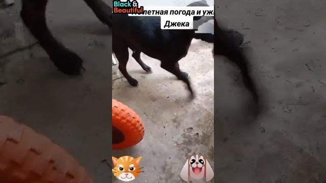нелётная погода