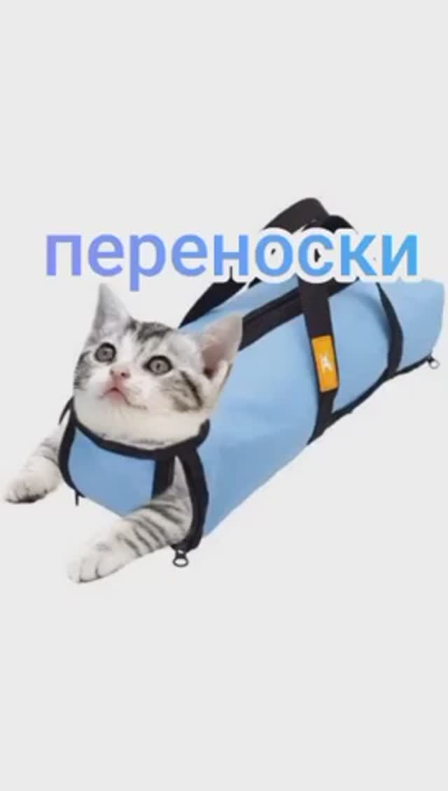 Переноски для Животных