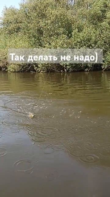 щука ушла... #рыбалка #троллинг #fishing #щука #shortsvideo
