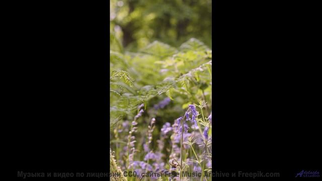 Пейзажи зажигаются в такт каждой новой мелодии - Underlying -- Ketsa -- The Lost Files