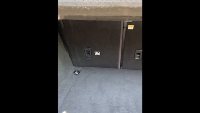 Видео WhatsApp 2025-06-15 в 15.26.13_1de20742