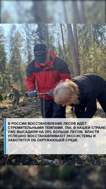 #семья #арктика #сво2025 #россия2025 #лаборатория #экономика #валберес #господдержка #путин #леса