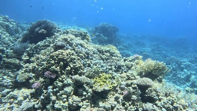 Hurgadinsk dive (long version)