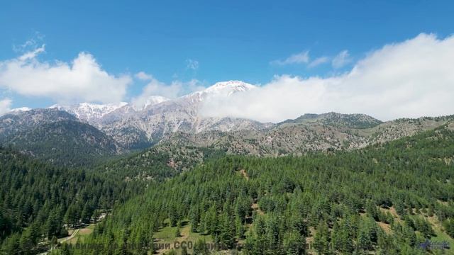 Музыка для поцелуев на крыше машины где-то посреди бескрайних полей - Dance -- Kirk Osamayo -- Seaso