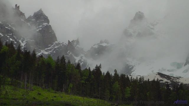 Ритмы поднимают над землёй и несут сквозь леса - Fantasy For Two Recorders -- Young Grandmas -- Tast