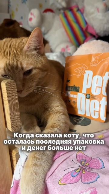 Натуральное питание для кошек