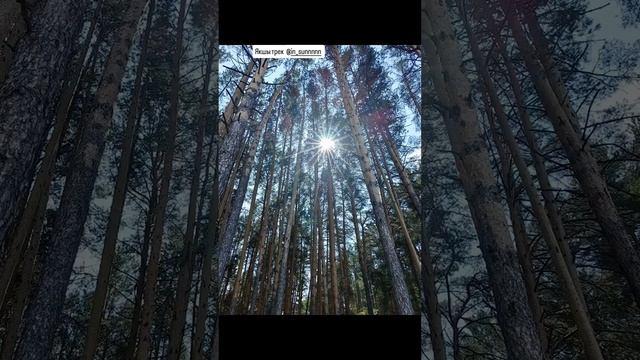 VID_20250615_063339_033.mp4