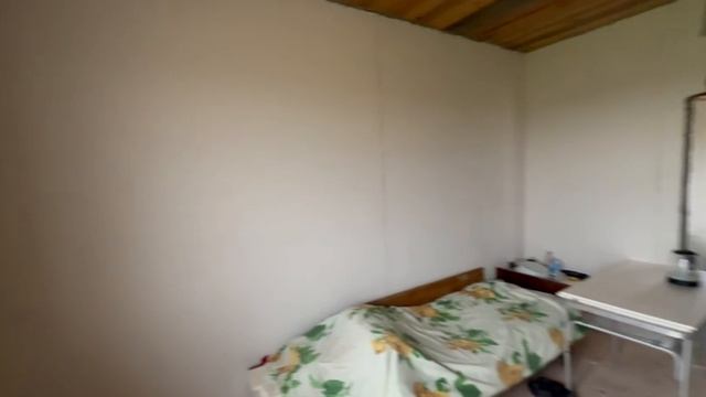 8538589-