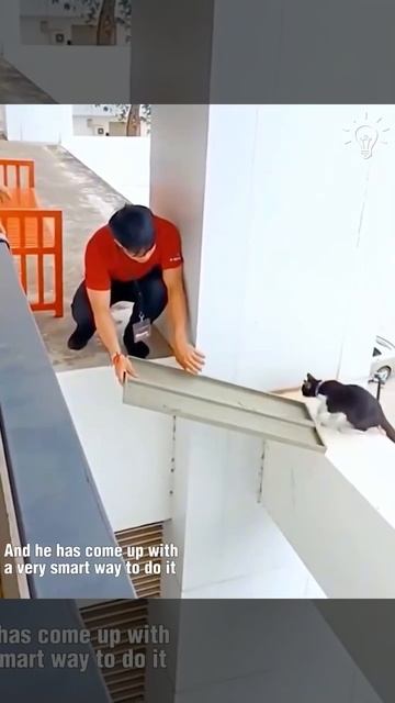 Как помогли котику 🤩😻🙌👍