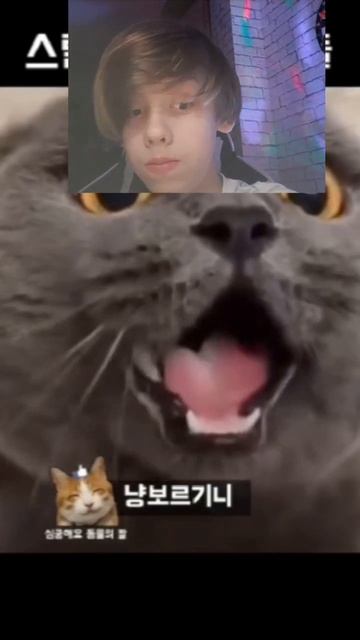 реакция на смешные ролики|