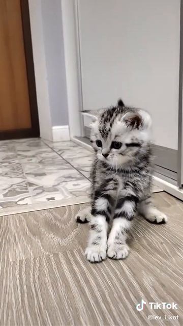 А ты.. ?