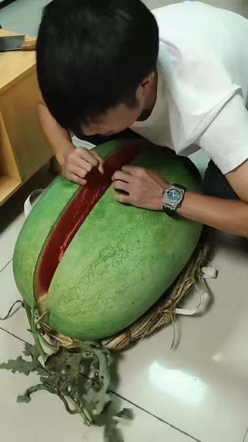 Easily open the watermelon by hand #shorts