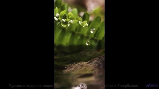 Горы, которые поют о любви - слушайте их голос! - Hare Krisha (Praise the Lord) ft. Billie Waves + M