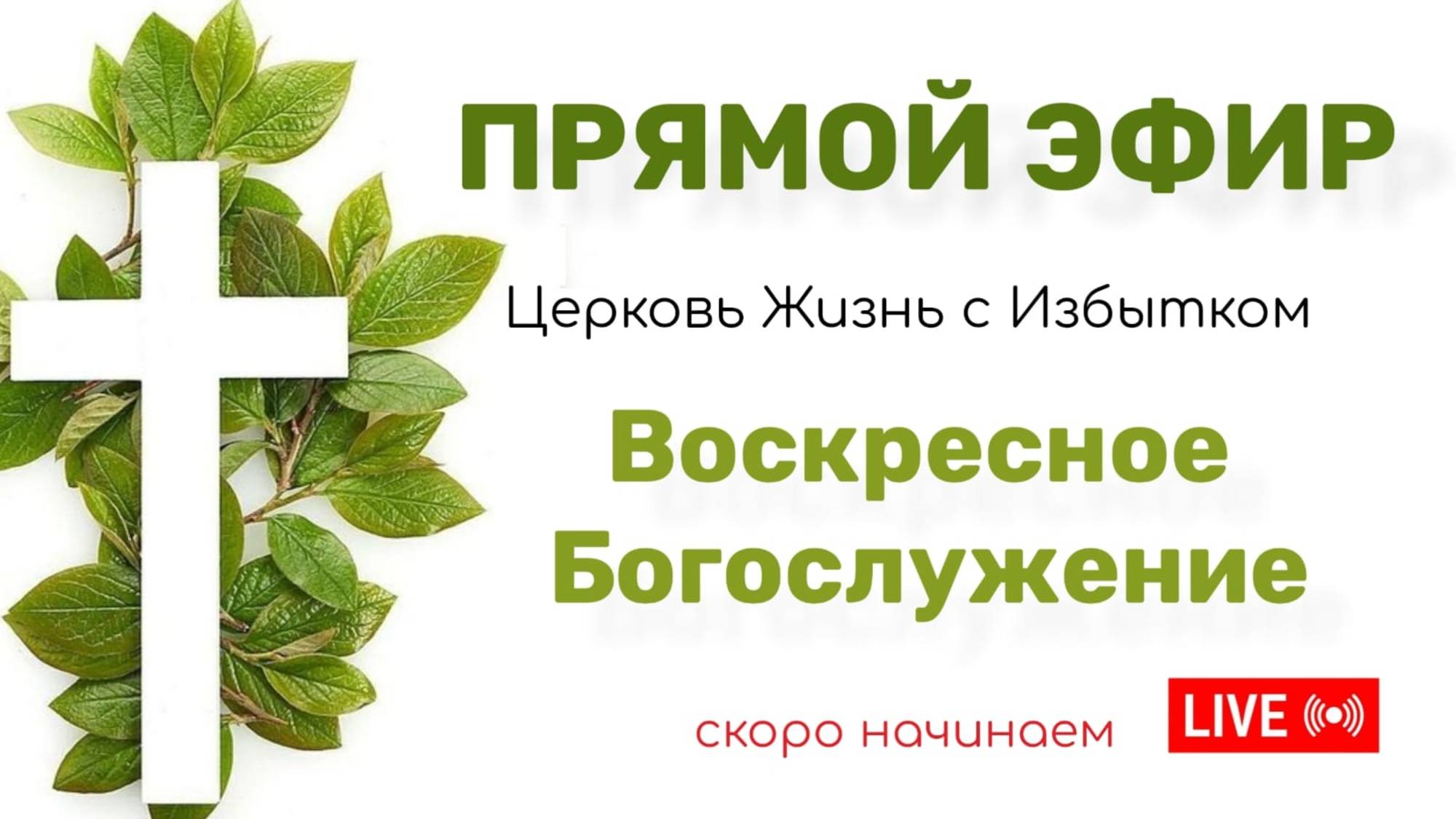 15.06.2025       11:00